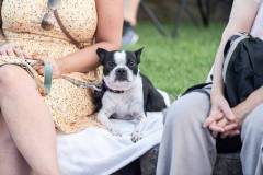 BoogieWonderBand_©IsabelleMichaud_010