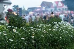 BoogieWonderBand_©IsabelleMichaud_117