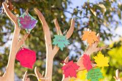 Journées de la culture et fête des récoltes | Crédit photo: Valmedia