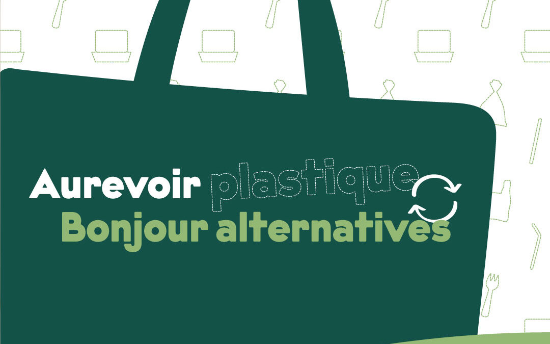 Un nouveau règlement pour régir la distribution d’objets en plastique à usage unique à Sainte-Agathe-des-Monts