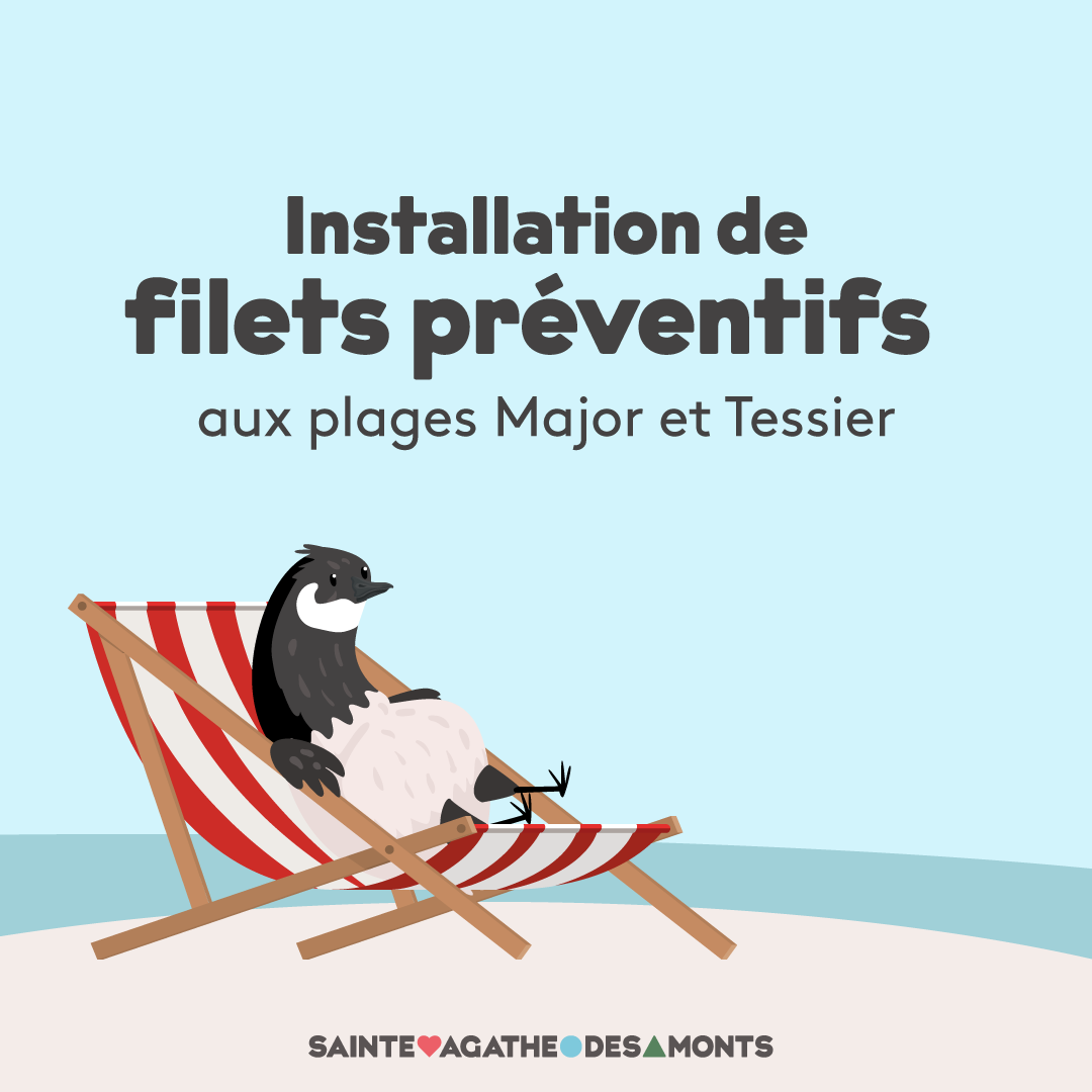 Installation de filets préventifs aux plages Major et Tessier