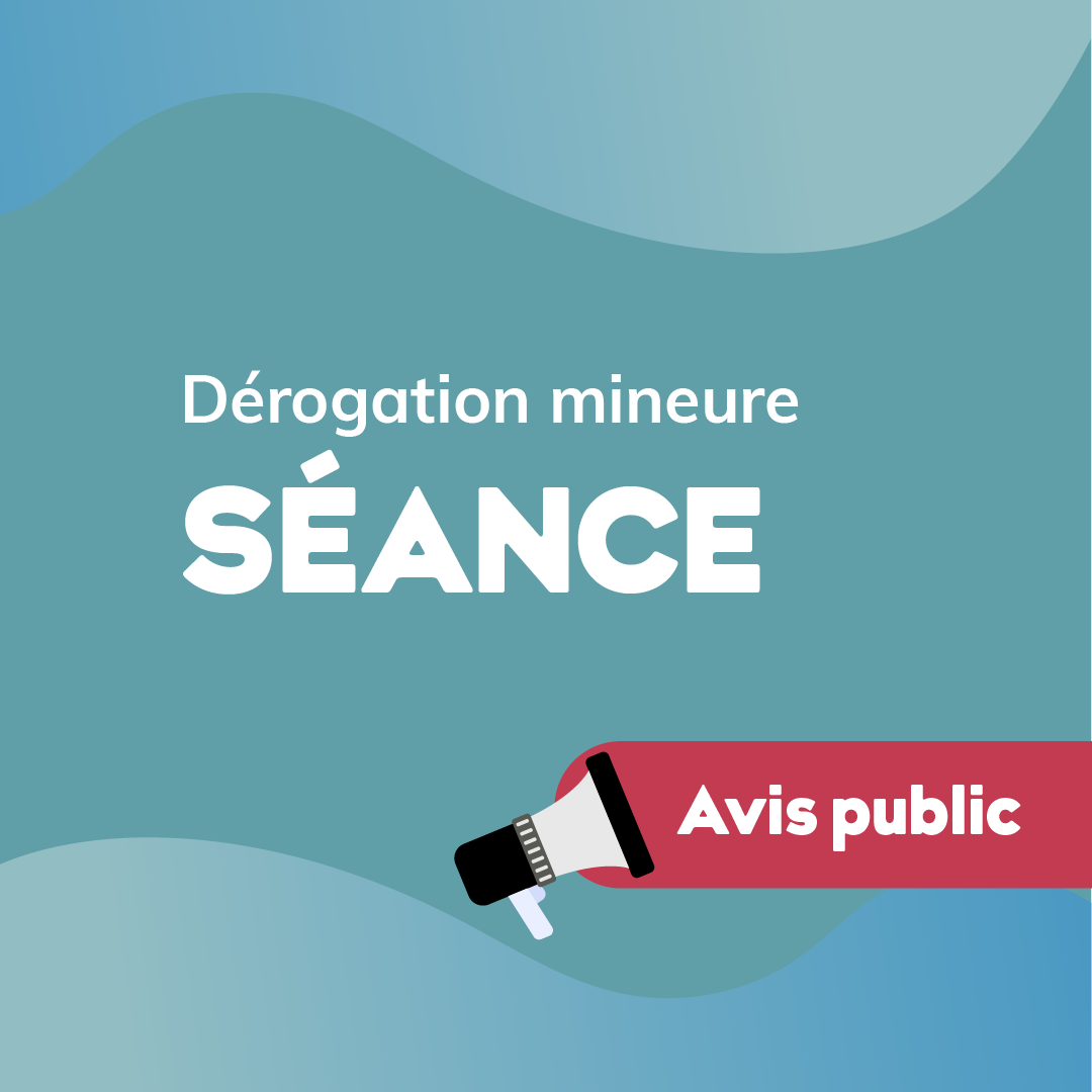 Séance du 19 mai 2026 – Dérogations mineures