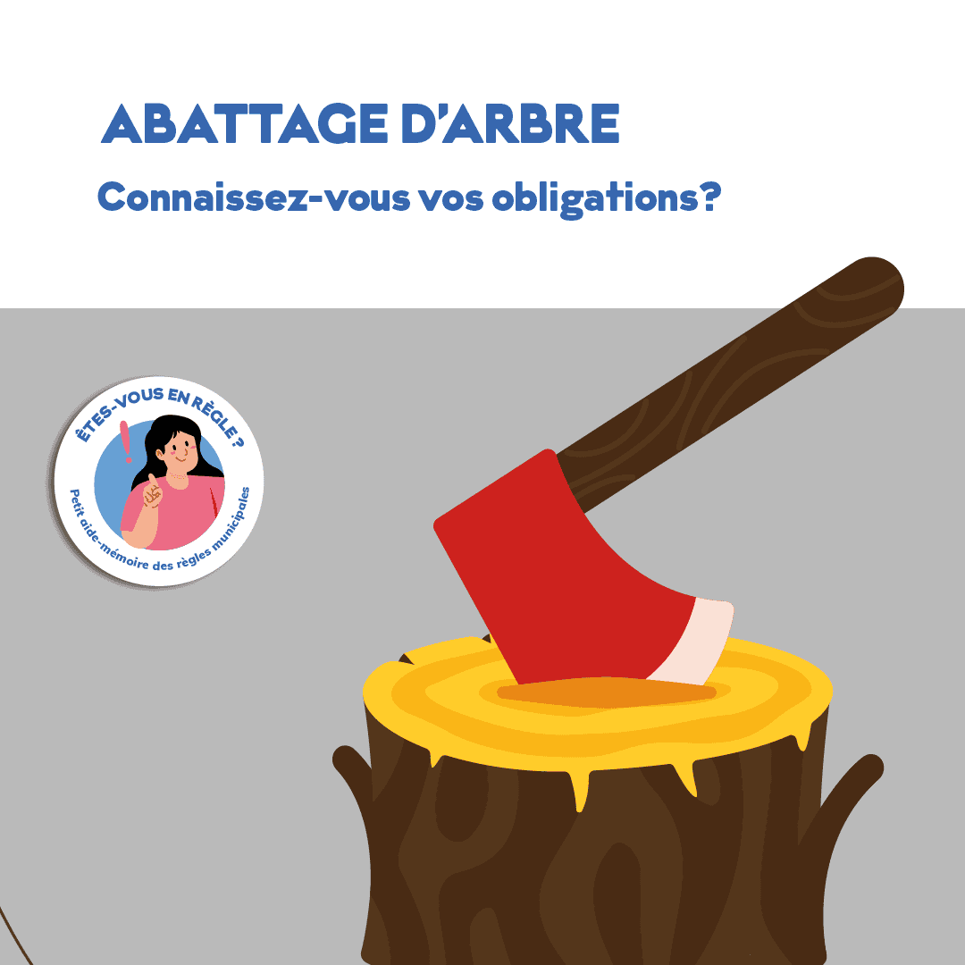 Abattage d’arbre: connaissez-vous vos obligations?