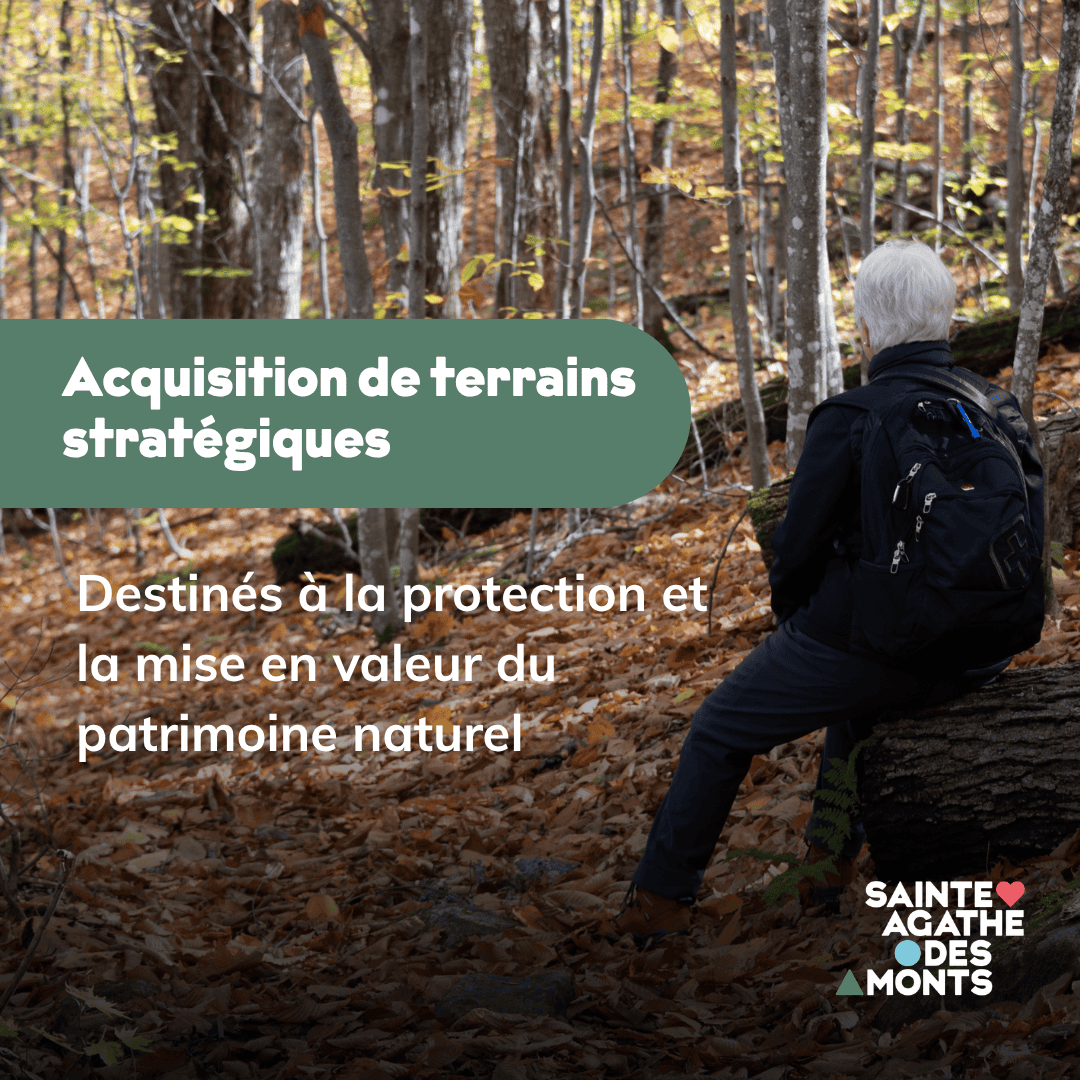 La Ville poursuit son engagement envers la protection et la mise en valeur de son patrimoine naturel